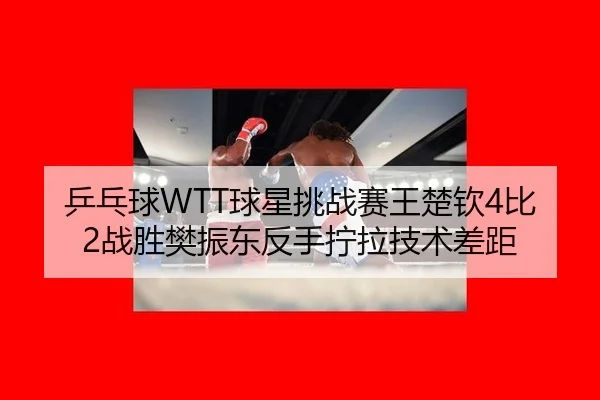 ping-pang-qiu-qiu-xing-tiao-zhan-sai-wang-chu-qin-bi-zhan-sheng-fan-zhen-dong-fan-shou-ning-la-ji-shu-cha-ju-3-273.jpg